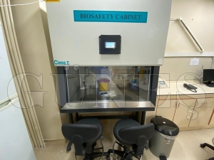 Orduda Covid-19 Testinin Kapasitesi Artrld