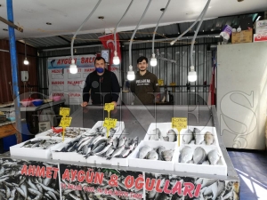 Tezgahlar kültür balıklarına kaldı Tezgahlar kültür balıklarına kaldı