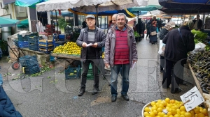 Emek Partisi,  Btede tarma destek yeterli destek yok bildirisi datt