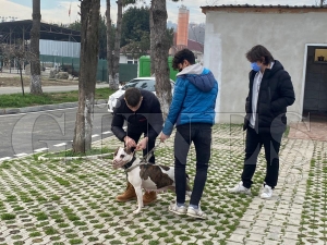 K�s�rla�t�rmalar� �cretsiz yap�lacak