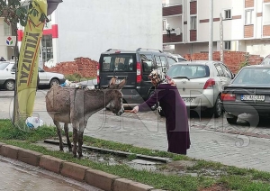 Eei eliyle besleyen Kadnn fotoraf sosyal medya da en byk ilgiyi grd