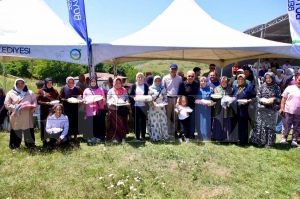 ambanda festival cokusu