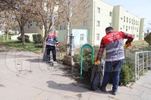 Adyamann temizlii Ordu Bykehirden