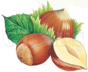 ALAN BAZLI GELİR DESTEĞİ LİSTELERİ 10 GÜN ASKIDA ALAN BAZLI GELİR DESTEĞİ LİSTELERİ 10 GÜN ASKIDA