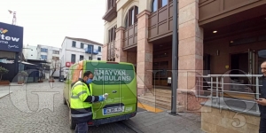 Yaral Martya Bykehir efkati