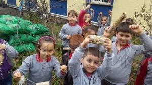 FATSA'DA RENCLERDEN KULARA YEM