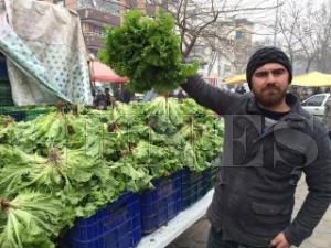 Bize sahip çıksınlar