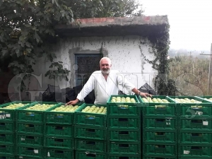 MGROS'un Elmalar FATSA'dan...
