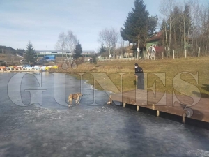 Göletin üzerinde gezen köpek kurtarıldı Göletin üzerinde gezen köpek kurtarıldı