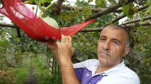 BİR KARADENİZLİ İCADI DAHA; BİR KARADENİZLİ İCADI DAHA;