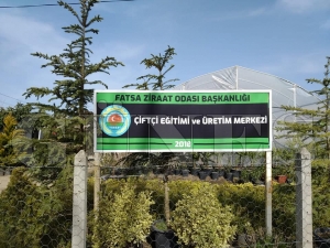 Kaybolmaya yüz tutmuş meyveler tekrar yetiştirildi Kaybolmaya yüz tutmuş meyveler tekrar yetiştirildi