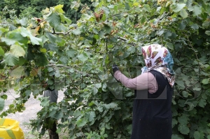 Proje amacna ulat