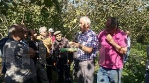 FINDIK YETTRCLNDE BUDAMA ELEMANI BENM PROJES UYGULAMALI OLARAK GEREKLET