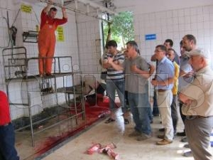 KURBAN NCESNDE KASAPLARA UYGULAMALI KURS VERLD