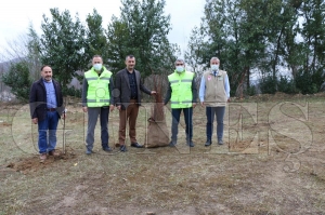 Fidanlar toprakla bulutu