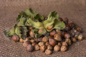 Ferrero, Trk Fndk Sektr in deer yaratmaya devam ediyor