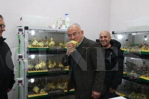 BAKAN GLERN HAYVANCILIK PROJELERNDEN BR OLAN KAZ YETTRCL GDEREK ARTIYOR