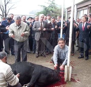 6. MAZBATA EREFNE KURBAN KESLD