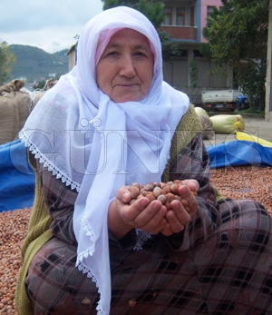 ORDU VE GİRESUN VALİLERİNDEN FINDIĞA ORDU VE GİRESUN VALİLERİNDEN FINDIĞA