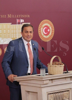 CHP Ordu Milletvekili Seyit Torun : CHP Ordu Milletvekili Seyit Torun :