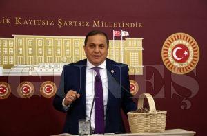 Torun: “Tarım da hayvancılıkta Allah’a emanet” Torun: “Tarım da hayvancılıkta Allah’a emanet”