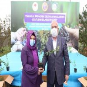 Ordu�nun yeni g�zdesi mavi yemi�