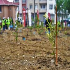 ehrin 100. ylnda 100 bin fidan projesinin . etabna start verildi