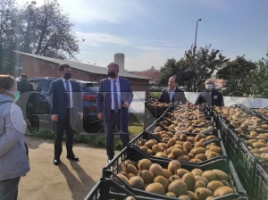 Kivi hasadına katıldılar Kivi hasadına katıldılar