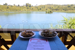 Ordu Gastronomisi bykehir ile n kazanyor