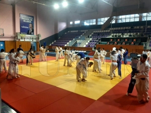 Trkiye ampiyonasna Bykehirden 10 sporcu katlacak