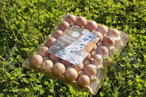 Migros, Orduda yumurta ss kurdu
