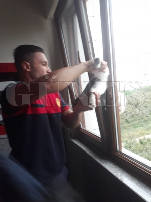 Pencereye sıkışan kediyi Ordu itfaiyesi kurtardı