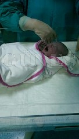 GÜNGÖR İNCİ DEDE OLDU GÜNGÖR İNCİ DEDE OLDU