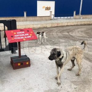 OSB’de sokak hayvanları için gıda atıkları mamaya dönüşüyor OSB’de sokak hayvanları için gıda atıkları mamaya dönüşüyor