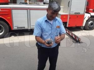 Kedilerden kaan yaral Gvercin kurtarld