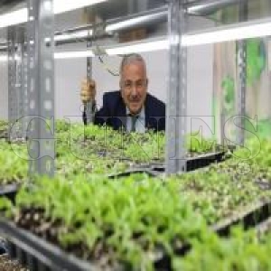 Kent ekonomisine 200 milyon lira kazandrld