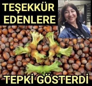 Fındık fiyatı için teşekkür edenlere tepki gösterdi... Fındık fiyatı için teşekkür edenlere tepki gösterdi...