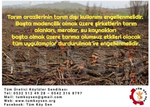 TM KY SEN: RETCLERN TALEPLER VAR