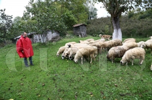 Bakan Glerin projeleri gelir kaps oldu