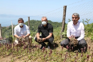 Bakan Glerin projeleri meyvelerini vermeye devam diyor