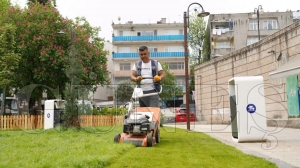 Fatsa Belediyesinden, Yabani ot temizlii iin youn mesai