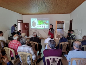 KAHVERENGİ KOKARCAYA KARŞI FINDIK ARAZİLERİNDE İLAÇLI MÜCADELE ZAMANI KAHVERENGİ KOKARCAYA KARŞI FINDIK ARAZİLERİNDE İLAÇLI MÜCADELE ZAMANI