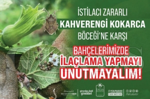 KOKARCAYA KAR�I �LA�LAMA YAPMAYI UNUTMAYIN