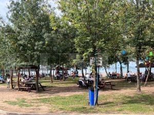 UZUNKUM PLAJI YAŞAM ALANI BÜYÜLÜYOR UZUNKUM PLAJI YAŞAM ALANI BÜYÜLÜYOR