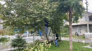Yeşil alanlarda bakım ve onarım çalışmaları tüm hızıyla devam ediyor Yeşil alanlarda bakım ve onarım çalışmaları tüm hızıyla devam ediyor