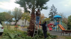 Park Bahçeler müdürlüğü ekiplerinden yeşil alanlara özenli dokunuşlar Park Bahçeler müdürlüğü ekiplerinden yeşil alanlara özenli dokunuşlar