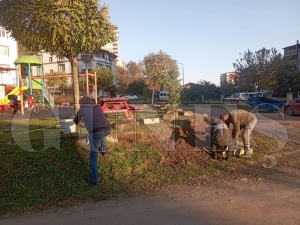 PARK BAHELER MDRL EKPLERNDEN YEL ALANLARA ZENL DOKUNULAR