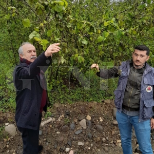 YÜKSEK KESİMLERDE HASAR %100! YÜKSEK KESİMLERDE HASAR %100!