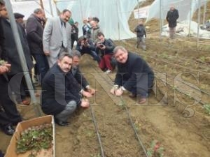 EK RETMNE LG ARTIYOR