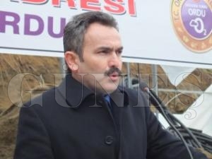 Fndk ve kiviyi soua kar koruyun